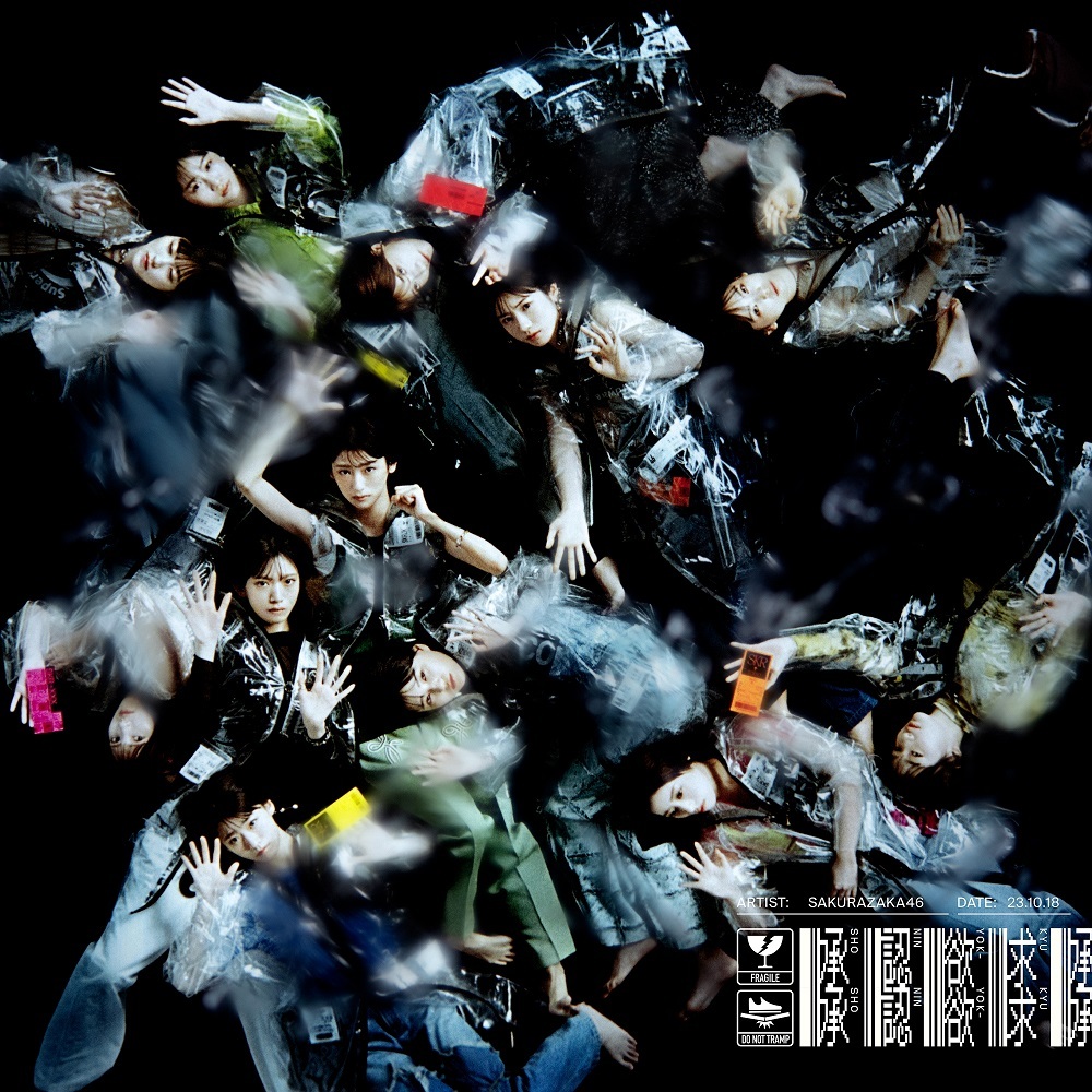 櫻坂46 承認欲求 初回仕様限定盤 TYPE-D ジャケ写